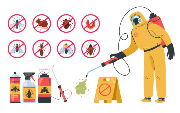 What is the most effective method for rodent removal in Seattle?