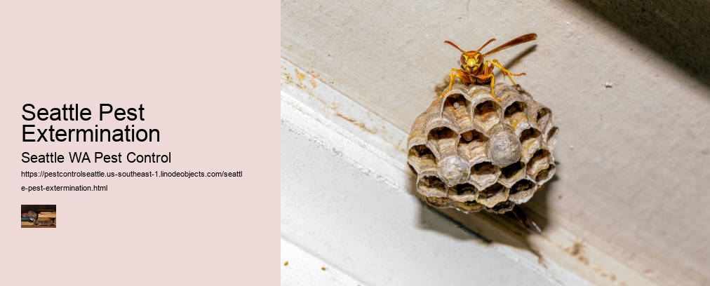 Seattle Pest Extermination